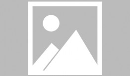 石家庄天天爆料事件最新,最新事件追踪，揭秘背后真相